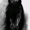 user5610102540678