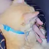 belaagustinn_08