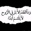 user8181796199636