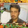 shakeel47146