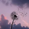 nhuwwing_181110