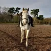 amys.eq.lifex