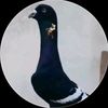 user3417400676620