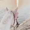yosra_dhaouadi0