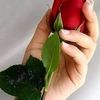 noor.ahmad5152