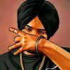 dogar147