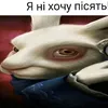 xxxs333