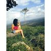 alemidence_