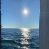 skipper_4272