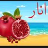abdul.rasool.pand2