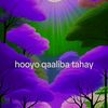 adeshcade97