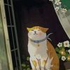 gattarapiubella