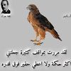 user2284681965375