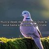 hilda.gutierrez.a56