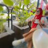 imay_corner