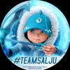teamsalju2451