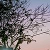 nova.rio_