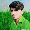 laiqat.ali998