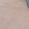 nonameddd088