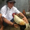 khanh.nguyen0334