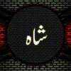 ayubshah059