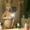 miaprevost_