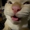 yurmie00