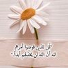 user13747784800931