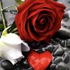 user2080632281238