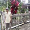 miswar.raja