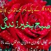 adnan.riaz45