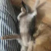 conhuyencute