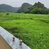 anh.duy2726