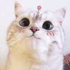 user_gottiti2112