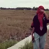 faijaang