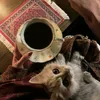 mohamdmohamd4577