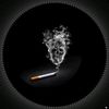 rasel.kaji8