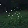 hm__2t