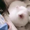 资源姐姐1