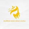 Dưỡng Sinh Bảo Châu