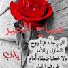 amer.darwish01