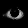 x097haig_09