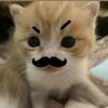 its_kanaevara