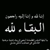 user249216474