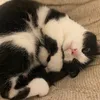 valeriia_732