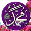 user9881878226775