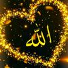 quran1529