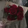mnmml28