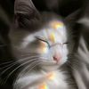 mayar.kim3