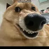 eatgo